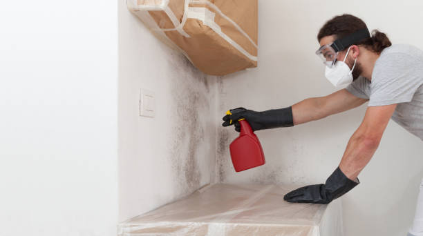 Professional Mold Remediation technician working in Parrish, FL